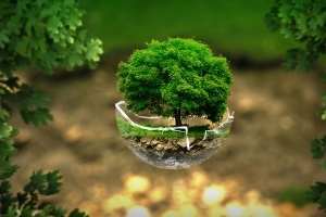 Creating Integrated Value: Beyond CSR and CSV to CIV